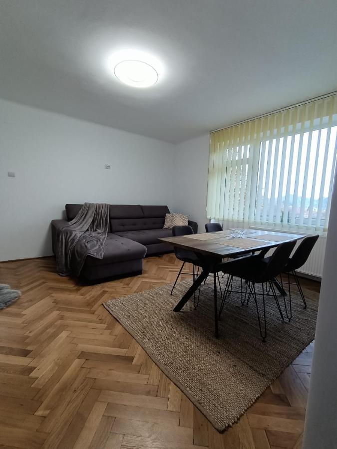 Vintage Gray Apartament Braşov Esterno foto